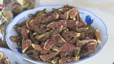 微信图片_20220516222709