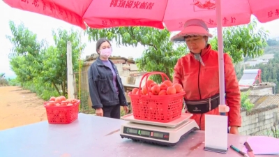 微信图片_20220530202828