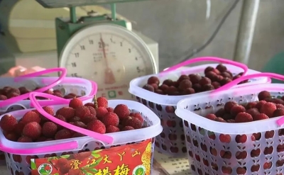 微信图片_20220609221424