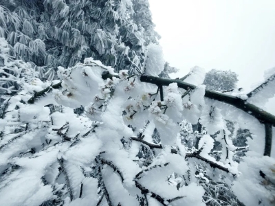 微信图片_20221219212027