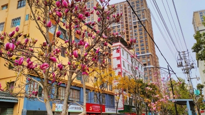 微信图片_20221231185626
