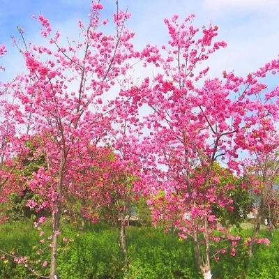 微信图片_20230324090037 微信图片_20230324090037