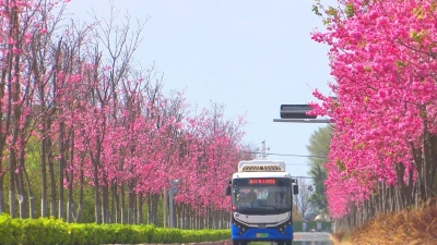 微信图片_20230324090101 微信图片_20230324090101