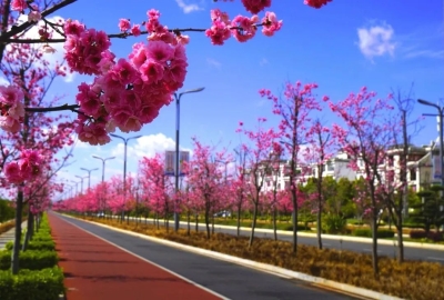 微信图片_20230324090118 微信图片_20230324090118